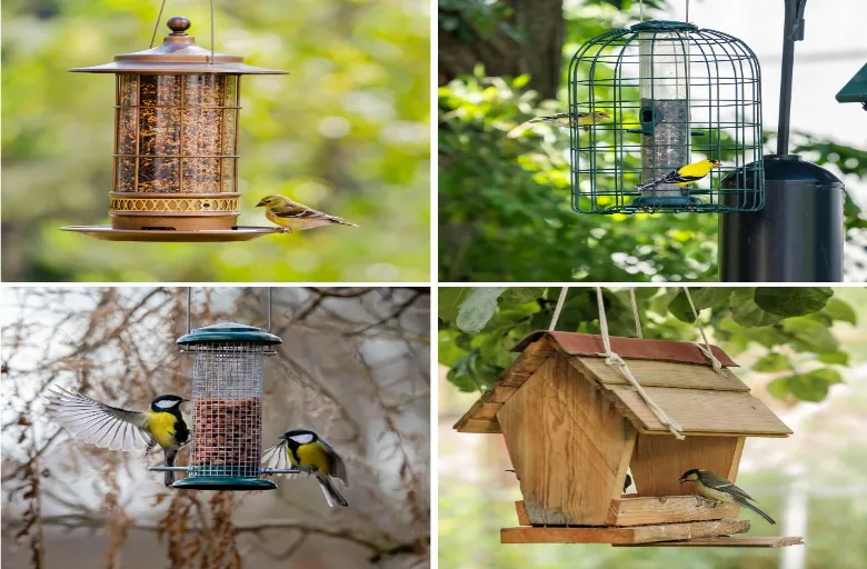 Exploring 50 Different Types Of Bird Feeders